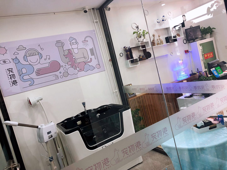 创业宠物店前后事