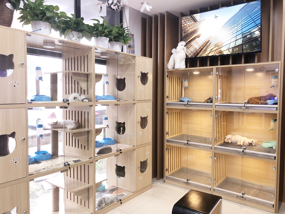 宠物店口碑营销