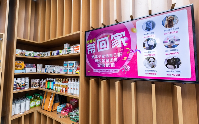宠物港