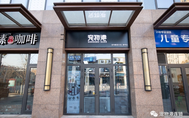 宠物港