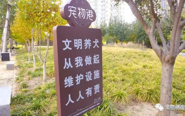 宠物港