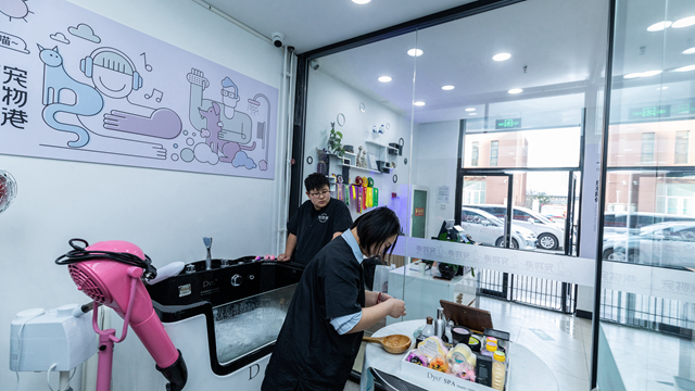如何开好一家宠物店呢