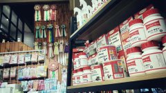 投资开宠物店如何应对淡季时期