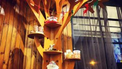 开宠物店该如何吸引更多客源