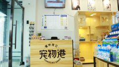 开加盟宠物店需要注意什么