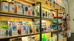 宠物加盟店如何进行推广宣传