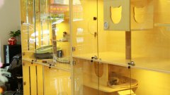想要开一家宠物加盟店需要注意什么