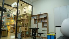 宠物店如何选择店铺位置呢