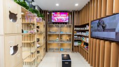 宠物加盟店如何做才能吸引消费者