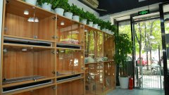 开宠物店需要做什么准备工作