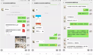共同的信念让我携手宠物港